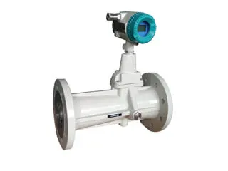 Precession Vortex Flow Meter